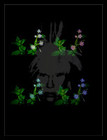 /album/svet-mojim-objektivom/andy-1234-jozef-geffert-jpg/